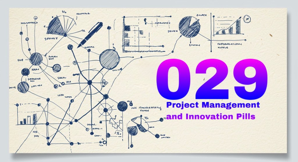 Pill 029: The Project Manager as a Strategic Visionary